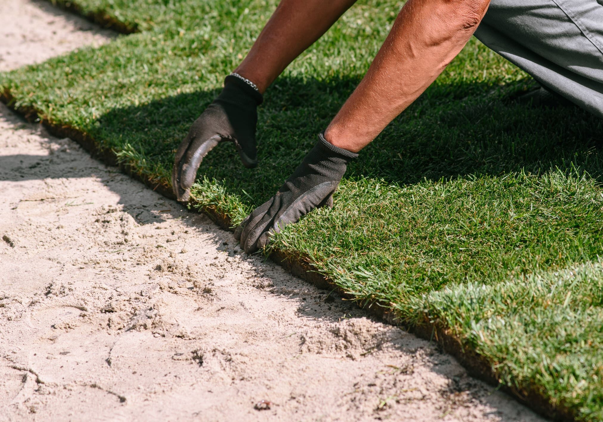 Person laying sod on sandy ground.