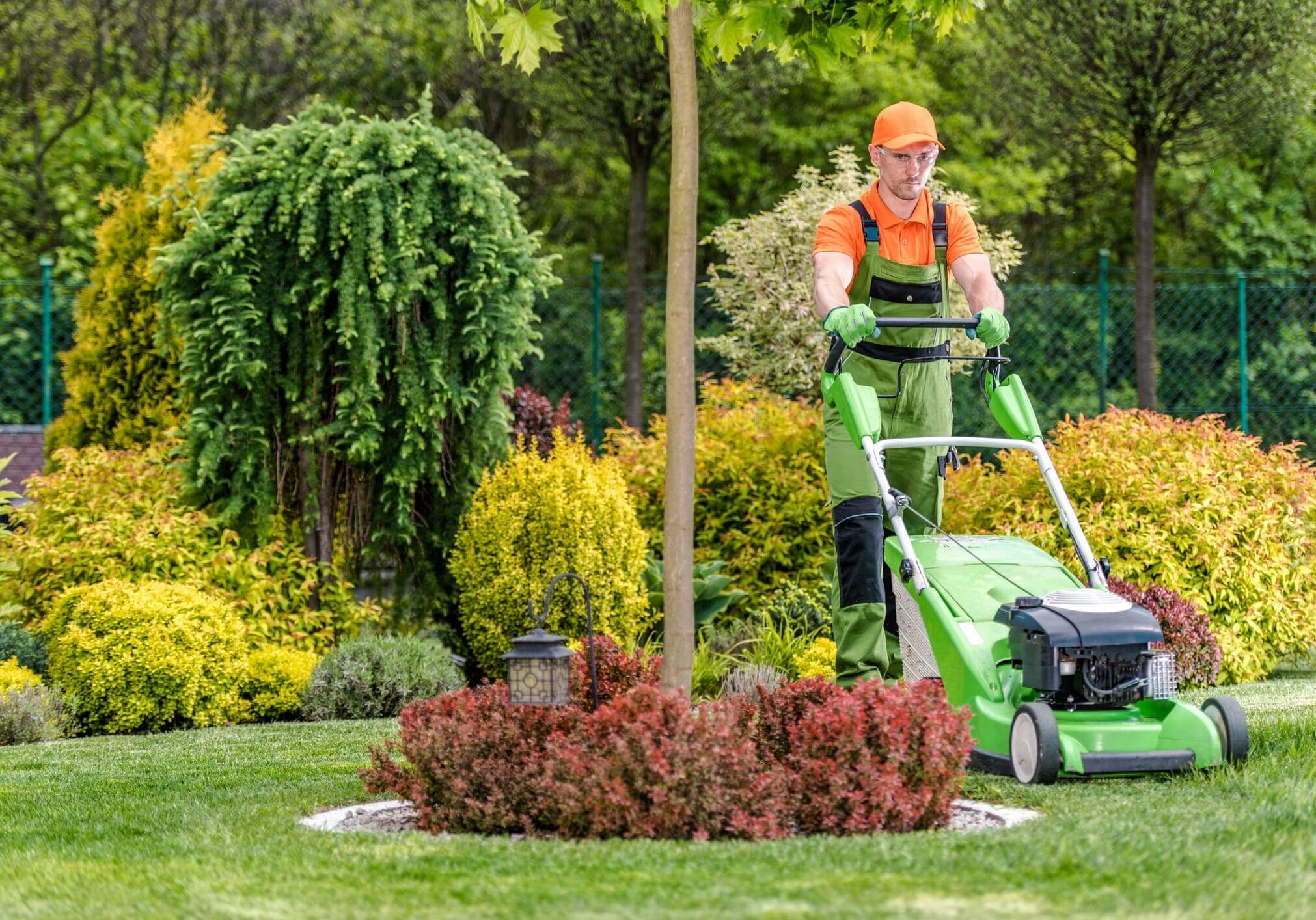 Gardener mowing lawn in vibrant garden.