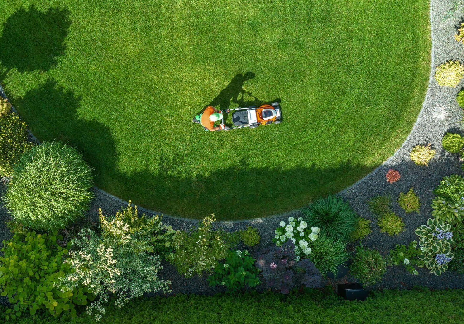 Person mowing lawn, aerial garden view.