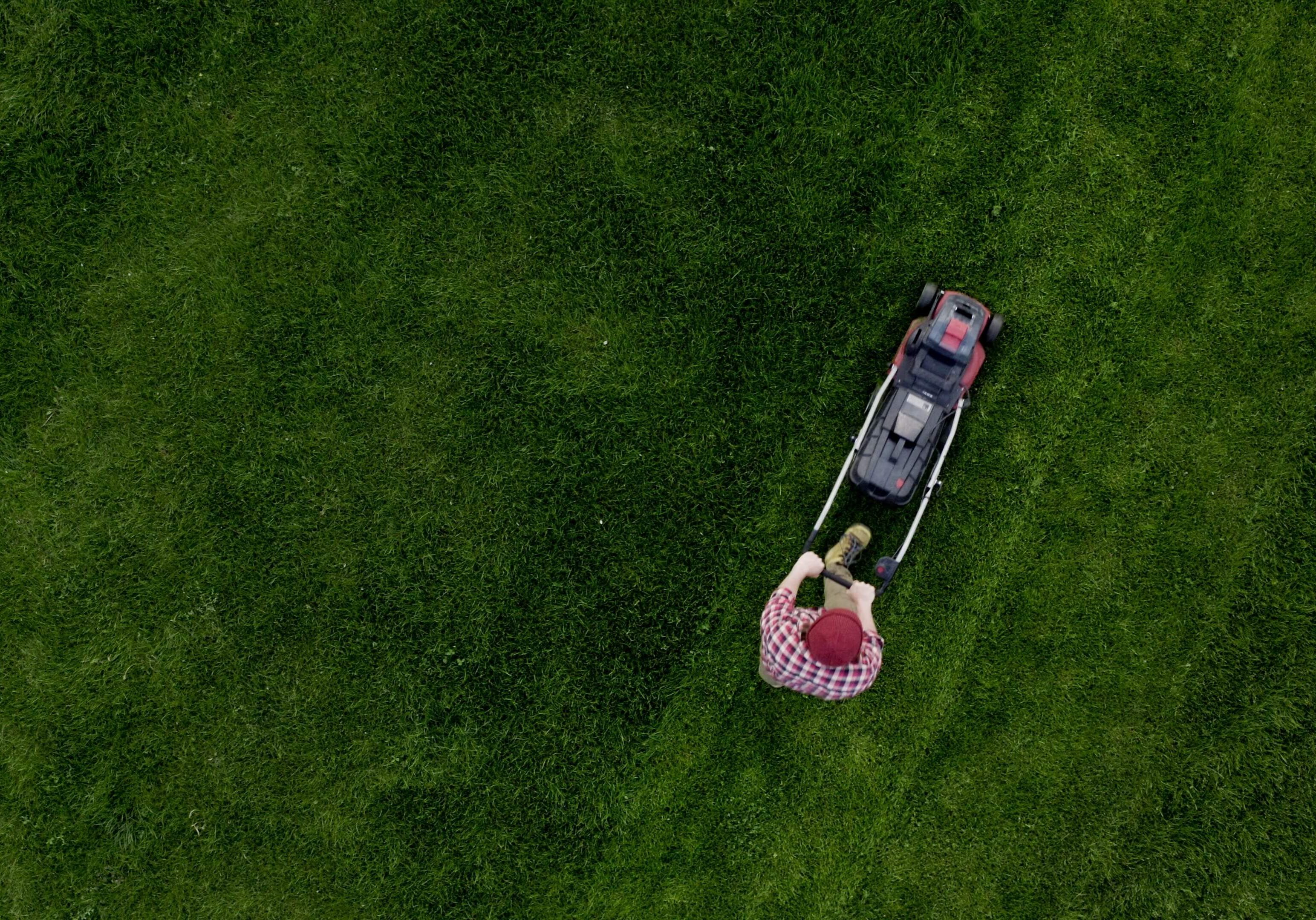 Person mowing grass with lawnmower, aerial view.