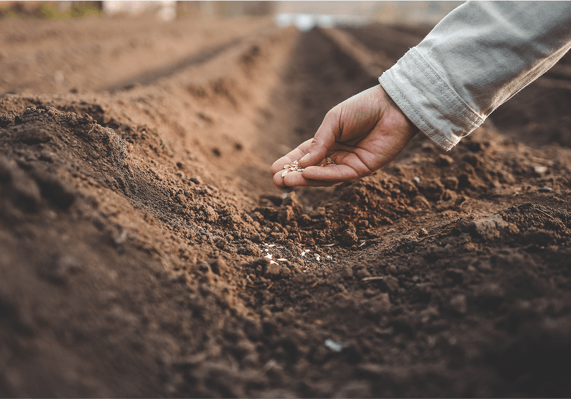 Hand planting seeds in soil, close-up.