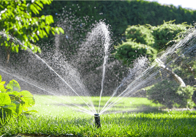 Sprinkler watering green grass in garden.